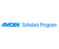AMGEN Scholarship at University of Melbourne